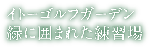 イトーゴルフガーデン緑に囲まれた練習場